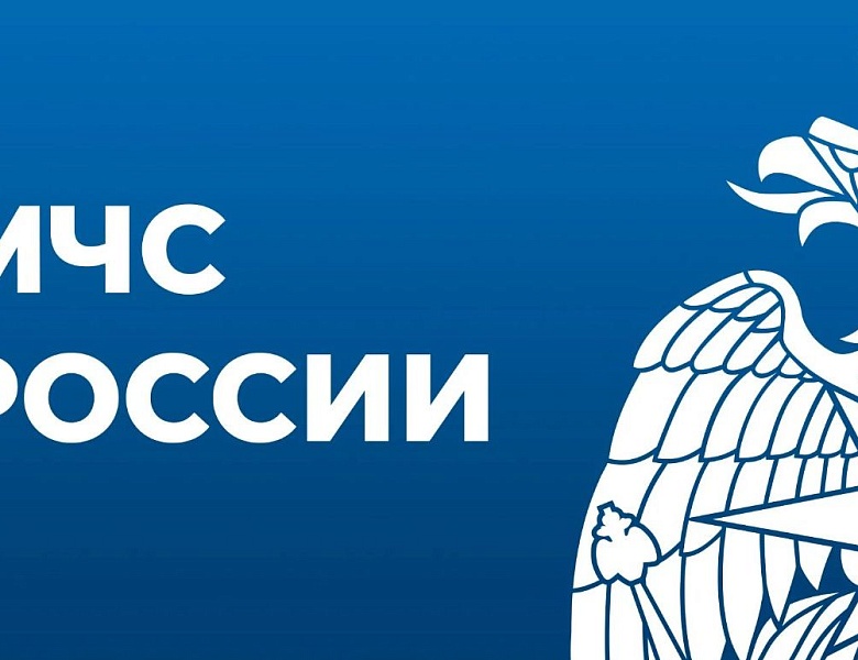 В настоящее время в МЧС России организована и ведется работа по предоставлению государственных услуг в электронном виде через Единый портал государственных и муниципальных услуг. 