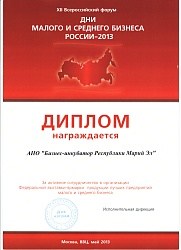 Диплом - дни малого бизнеса-2013